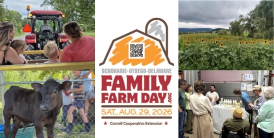 2026 FFD Masthead JPG