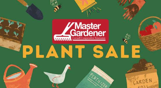 Master Gardener Plant Sale 