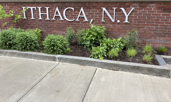 City Hall garden in spring 2025