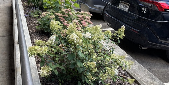 Ithaca Town Hall employee entrance