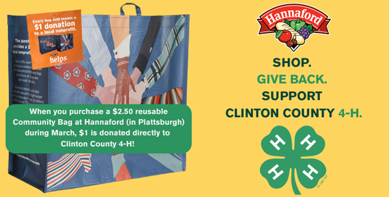 Hannaford Community Bag Program