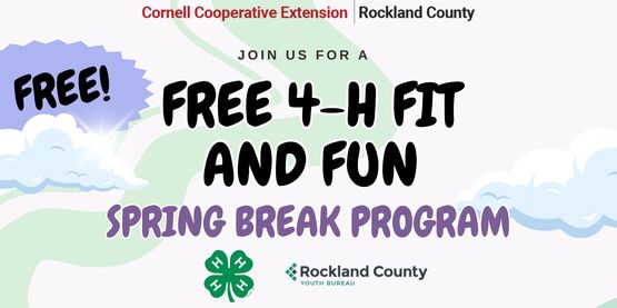 4-H Fit And Fun Banner01