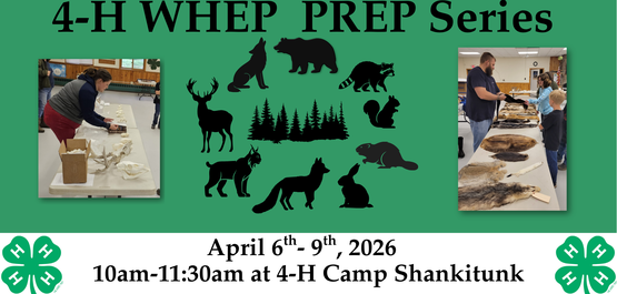 4-H WHEP