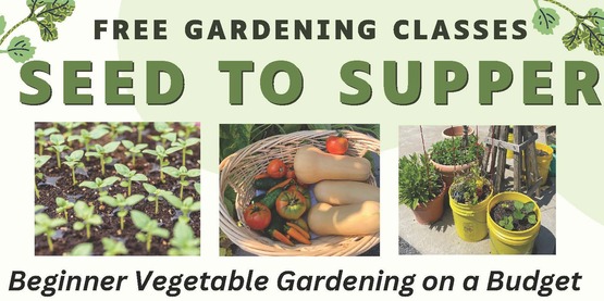 2026 Seed to Supper Program - Otsego