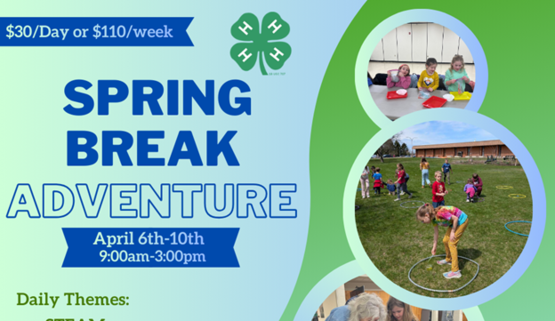 spring break adventure 2026