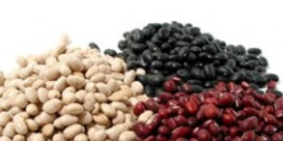 dry beans