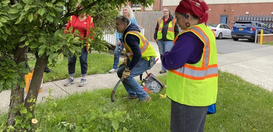 Image of people caring for a tree