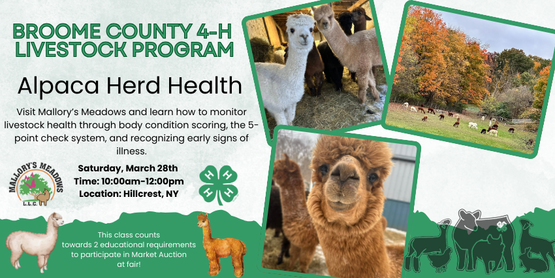 4-H Livestock Program: Alpaca Herd Health