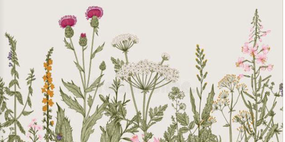 flower sale brochure 2026