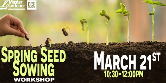 Spring Sowing 2026