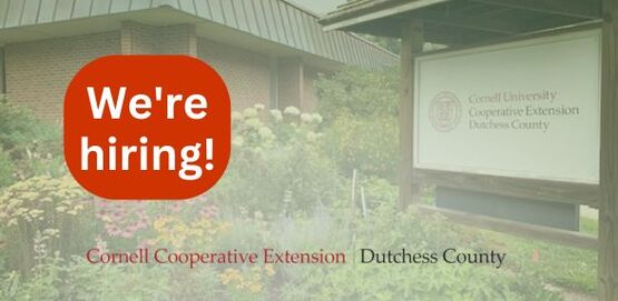 We're hiring at CCEDC header