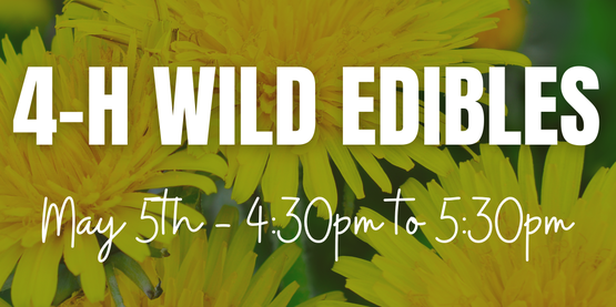 4-H Wild Edibles Flyer