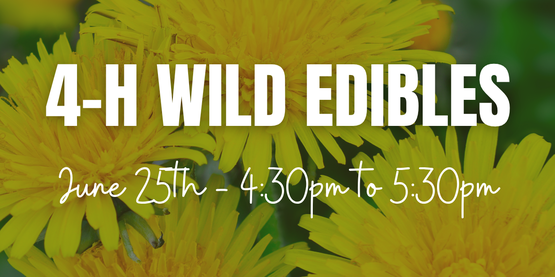 wild edibles june