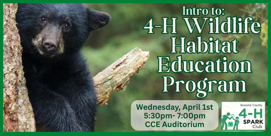 Wild about nature? Want to learn more about wildlife? Join us as get started learning about our local animals as part of the Wildlife Habitat Education Program. WHEP is a national hands-on environmental education program that is dedicated to teaching wildlife and fisheries habitat conservation and management. Our nature educator, Carolyn Klein, will introduce Broome County 4-H’ers to some of the animals found in the Northeast Mixed Forest Region and ways to identify them using pelts, tracks, or even vocalizations.

The NYS W.H.E.P. contest will be held at the state fair. There is no need to compete in WHEP-- 4-H'ers are welcome to join us simply to enjoy nature programming. We are just using the event as a focus point for what material to cover.  Bonus: If 4-H'ers would like to compete in WHEP, this program will help them prepare.  



Who: Broome County 4-H Members

When: Wednesday, April 1, 2026

Time: 5:30pm- 7:00pm

Where: CCE Auditorium