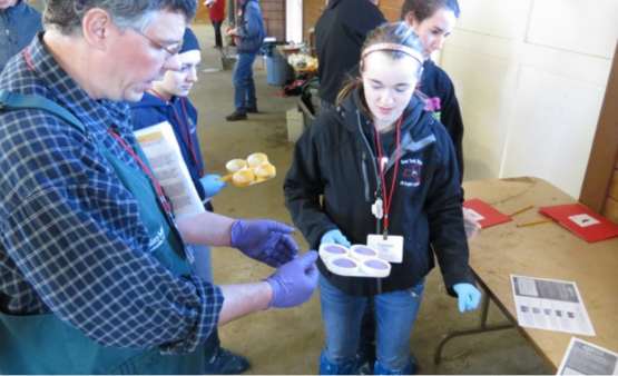 Quality Milk & Milk Production