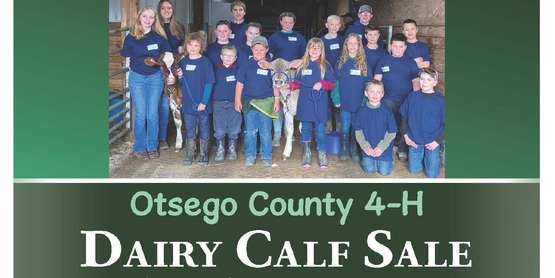 2026 Dairy Calf Sale