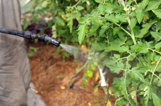 Are you practicing low-spray or organic/regenerative farming and want to
be prepared for pest problems?