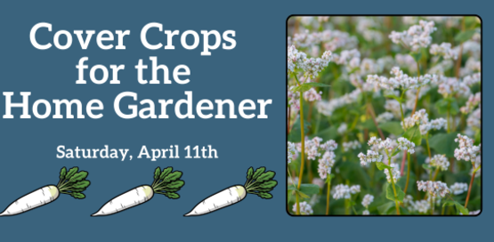 Cover Crops
Saturday, April 11th