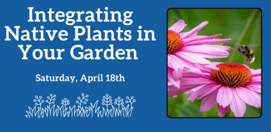Integrating Native Plants
Saturday, April 18th 