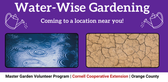Water-Wise Gardening
Coming to a location near you!