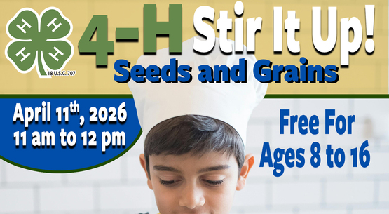 4-H Stir It Up! Seeds and Grain Banner