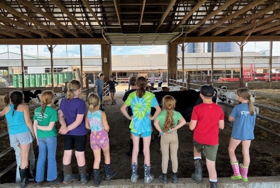 Dairy Showmanship