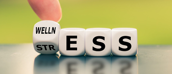 stress to wellness, dice