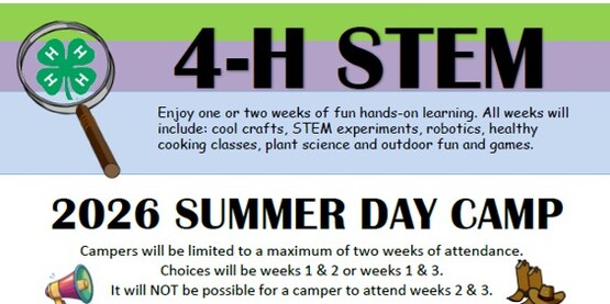 2026 4-H summer day camp