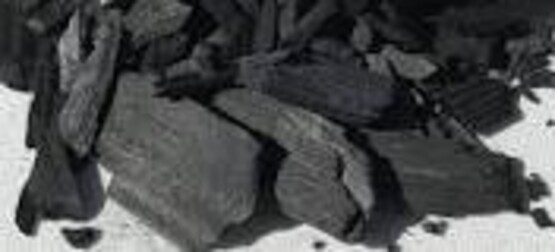 Biochar 101 Workshop, April 18, 2026