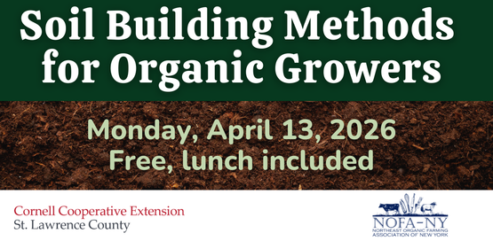 Banner for foil building workshop