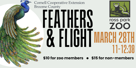 zoo feathers program