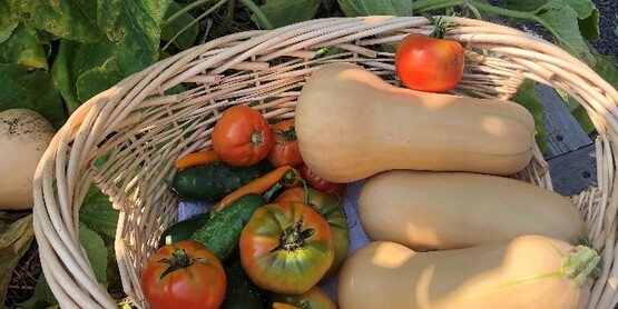 Grow A Row Information Meeting