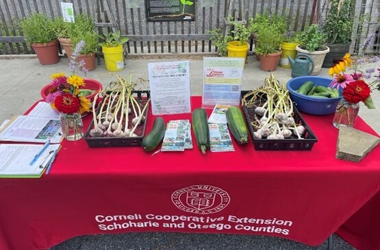 Nature Journaling Workshop