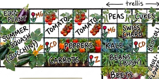 Square Foot Gardening