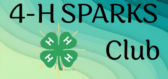 4h sparks club