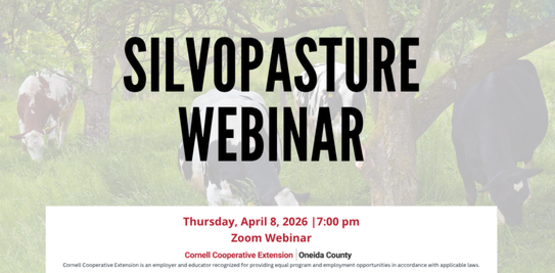 Silvopasture