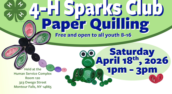 Paper Quilling Banner