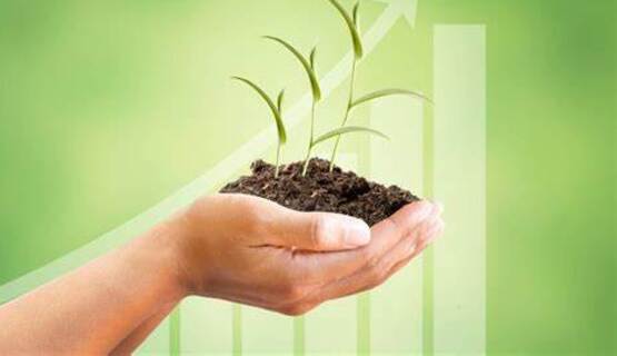 2024 Agricultural Marketing Webinar Series