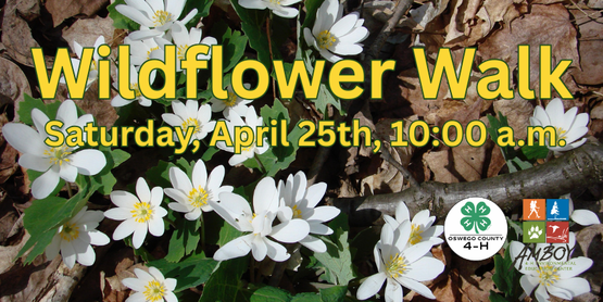 Wildflower Walk
