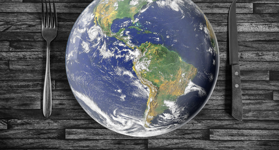 Global Hunger and Food Insecurity