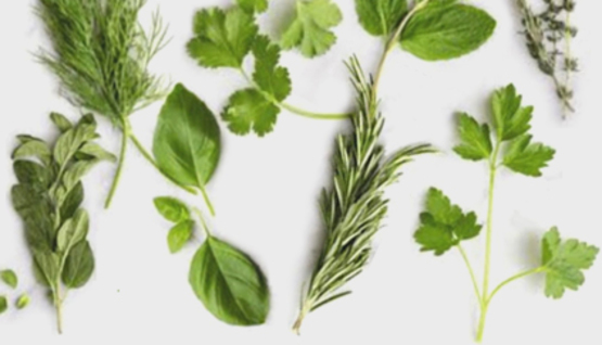 Herbs