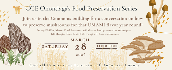 Mushroom Food Preservation Overview