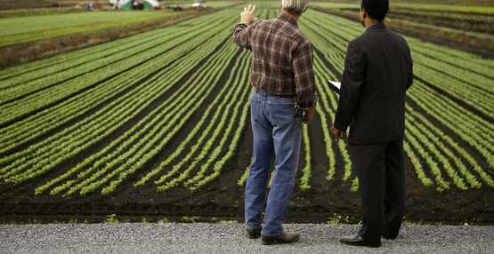 Leading the Farm Team: Supervisory Skills for New Managers 