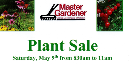 Plants are from Master Gardeners’ private collections and local nurseries… vegetables, herbs, perennials, annuals, and woody plants priced to sell quickly. Quantities are limited and not intended for resale.