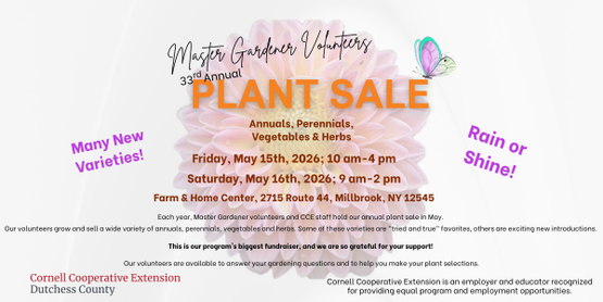 Plant Sale