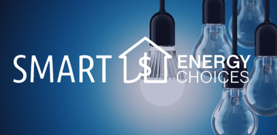 Smart Energy Choices, light bulbs