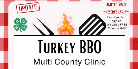 Turkey BBQ Workshop