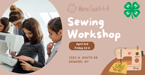 Sewing Workshop
