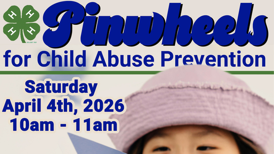 4-H Pinwheels banner