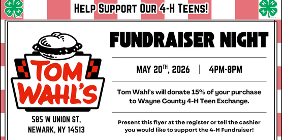 Tom Wahls Flyer
